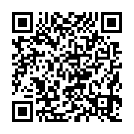 QR code for X11771