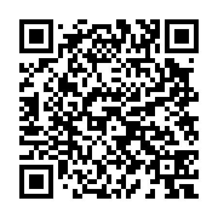 QR code for X12038