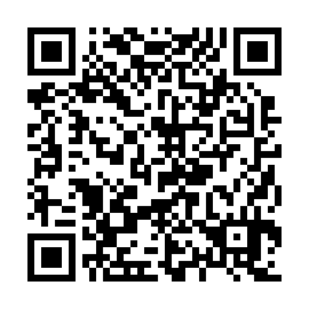 QR code for X12234