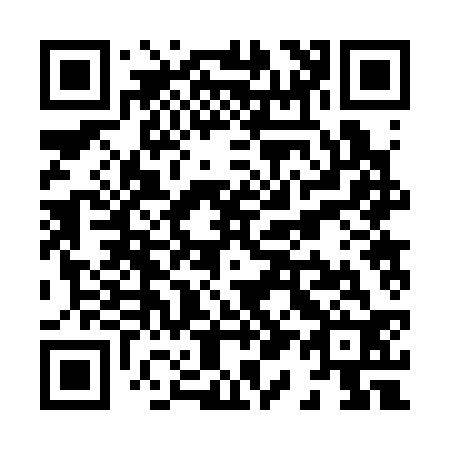 QR code for X12332