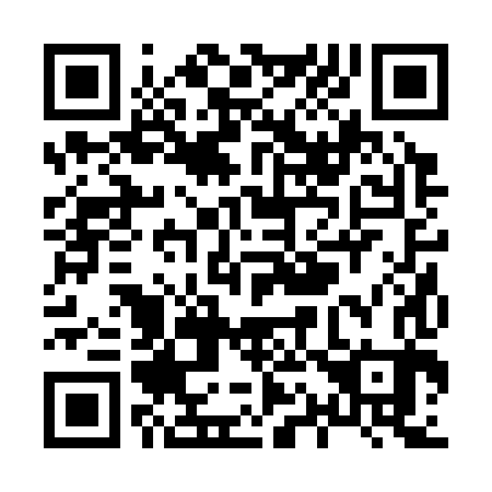 QR code for X12383