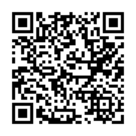 QR code for X12453