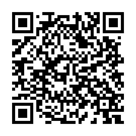 QR code for X12523