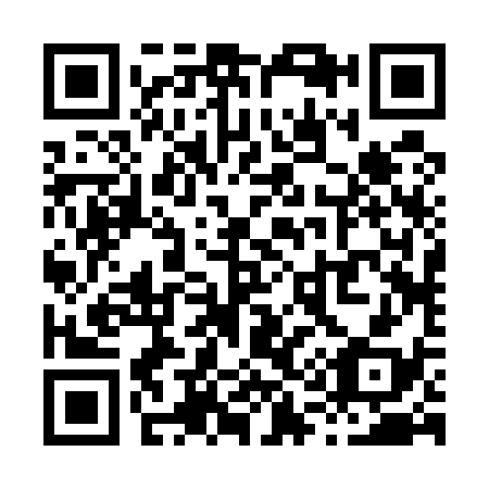 QR code for X12538
