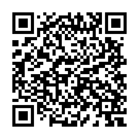 QR code for X12542