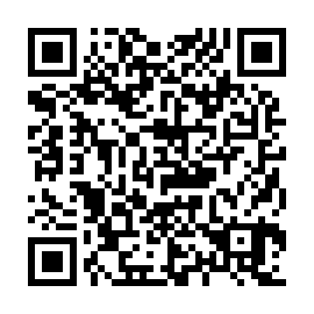 QR code for X12920