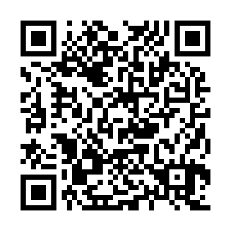 QR code for X12924