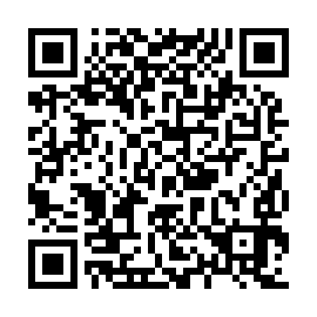 QR code for X12993