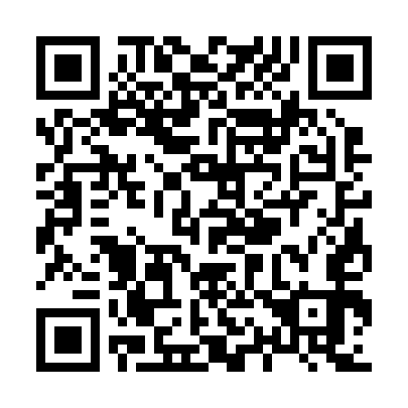 QR code for X13253