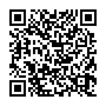QR code for X13368