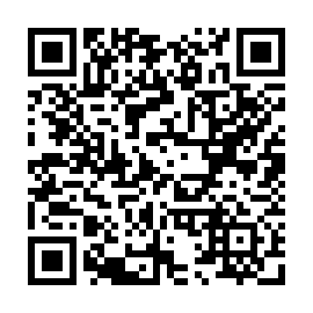 QR code for X13371