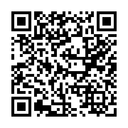 QR code for X13381