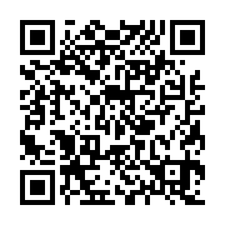 QR code for X13431
