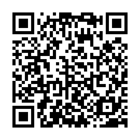 QR code for X13535
