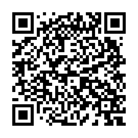 QR code for X13663