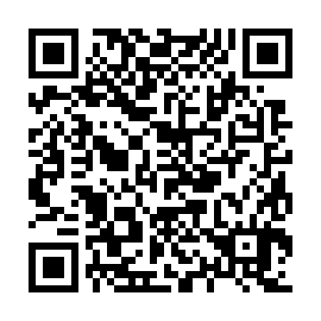 QR code for X13784