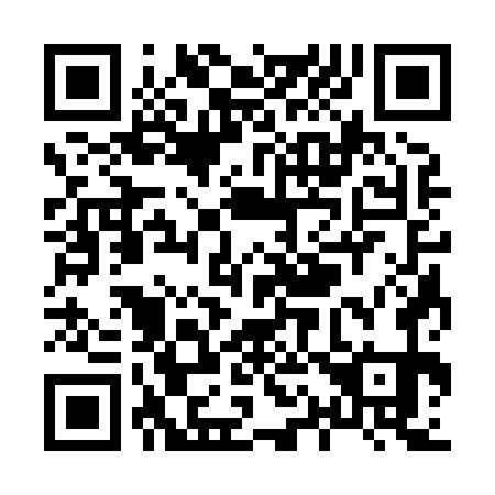 QR code for X13871