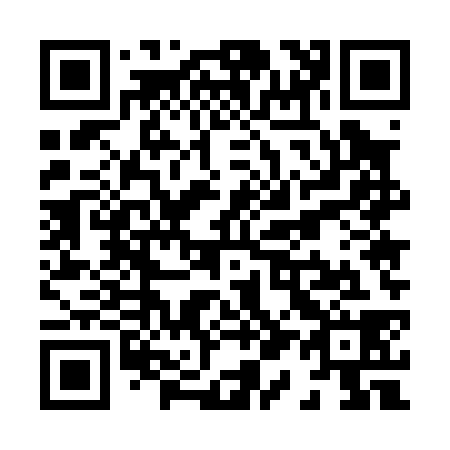 QR code for X15038