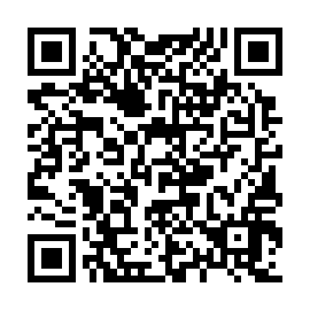 QR code for X15316