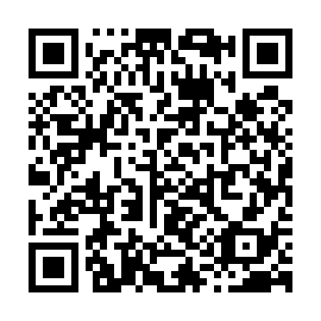 QR code for X15538