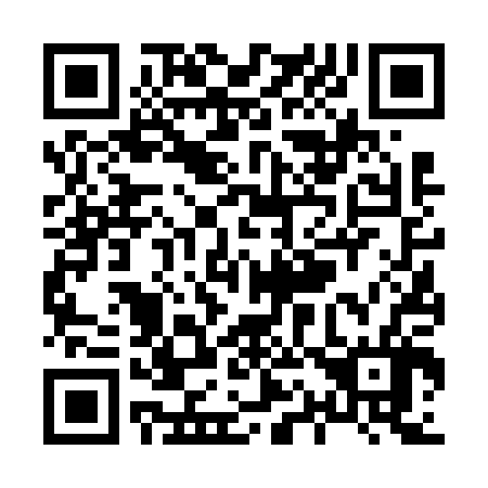 QR code for X16606
