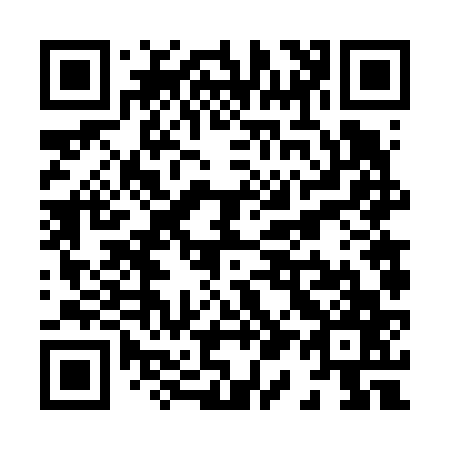 QR code for X16667