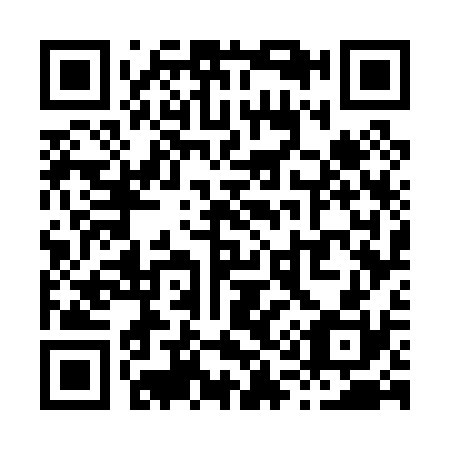 QR code for X17030