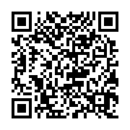 QR code for X17304
