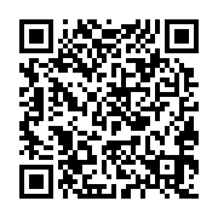QR code for X17351