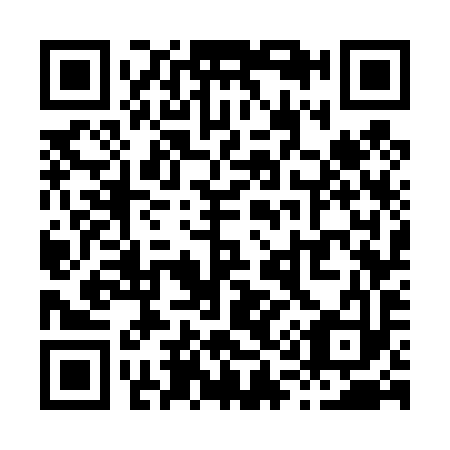 QR code for X17493
