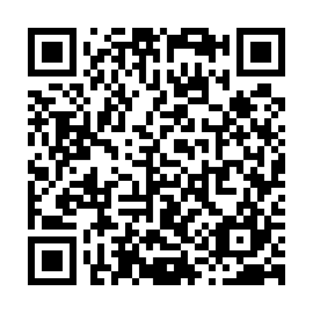 QR code for X17527