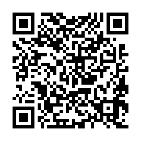 QR code for X17699