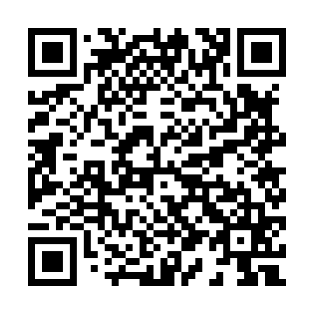 QR code for X17865