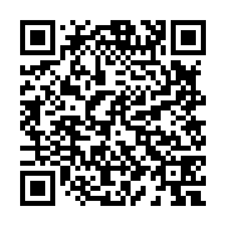 QR code for X17878