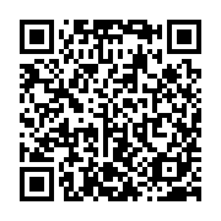QR code for X19381