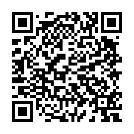 QR code for X19411