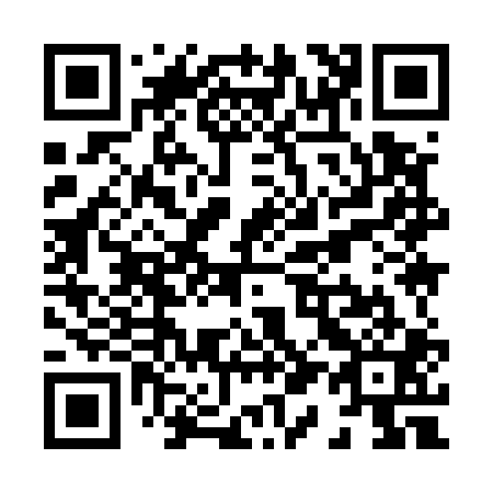 QR code for X19501