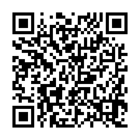 QR code for X20594