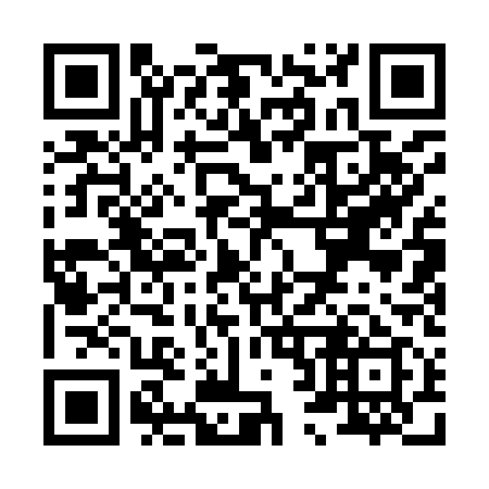 QR code for X21919