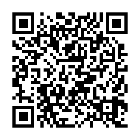 QR code for X22249