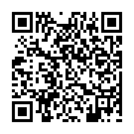 QR code for X26317