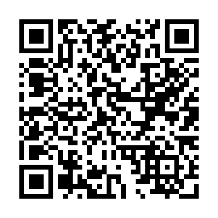 QR code for X26381