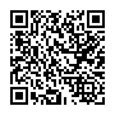 QR code for X26393