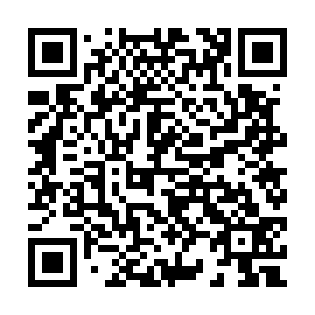 QR code for X27533