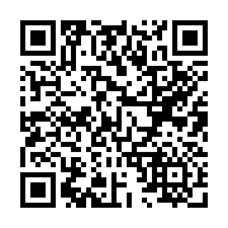 QR code for X28336
