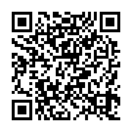 QR code for X28339