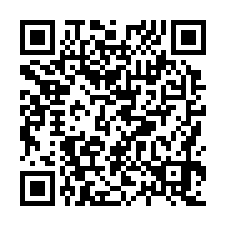 QR code for X28370