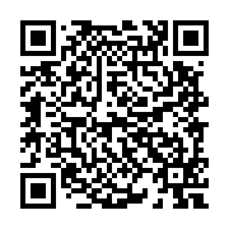 QR code for X28595
