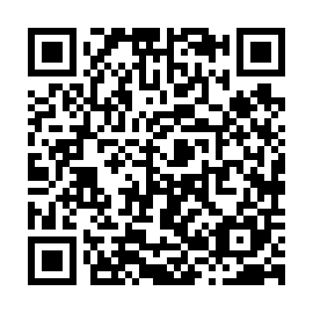 QR code for X28605