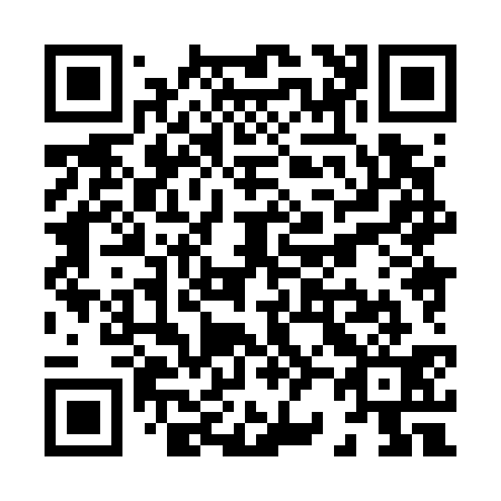 QR code for X28731